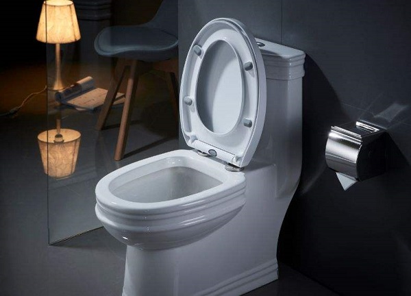 馬桶蓋后期保養與維護